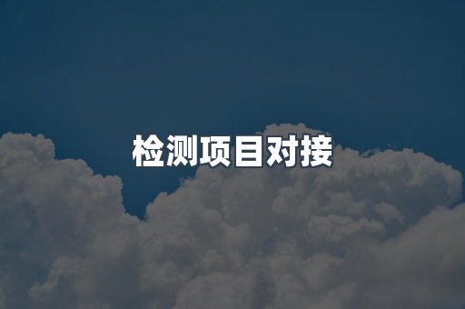 检测项目对接